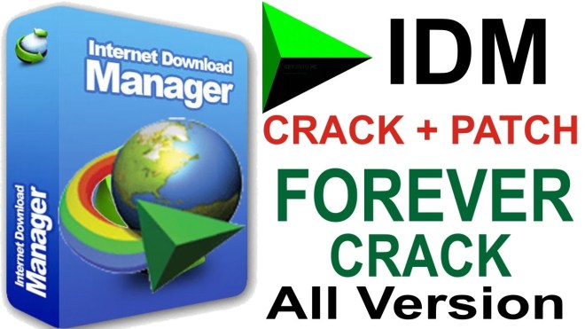 Download IDM 6.29 Build 01 Crack Free Full Version